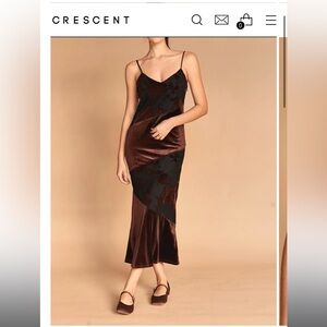 Elegant Brown Velvet burnout dress